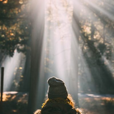 best therapy kirkland