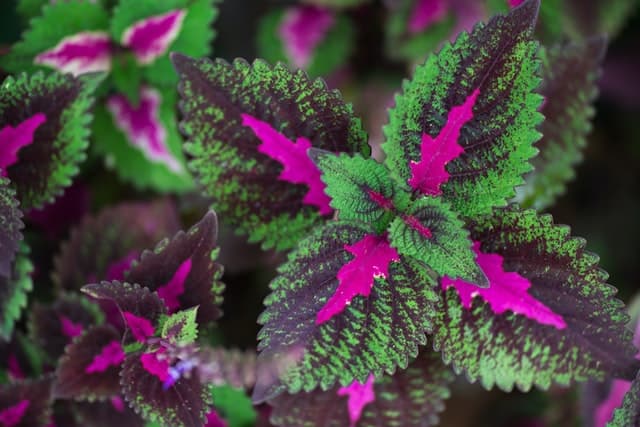 relationship counseling couples counseling kirkland washington Couples Counseling, Couples Growth, Couples Therapy