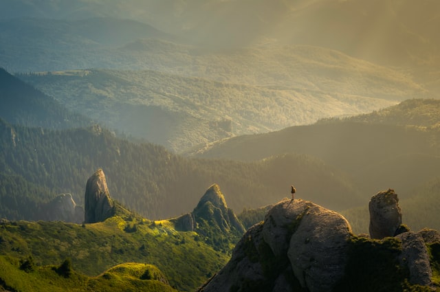 Man standing in a beautiful sun lit green canyon!!!